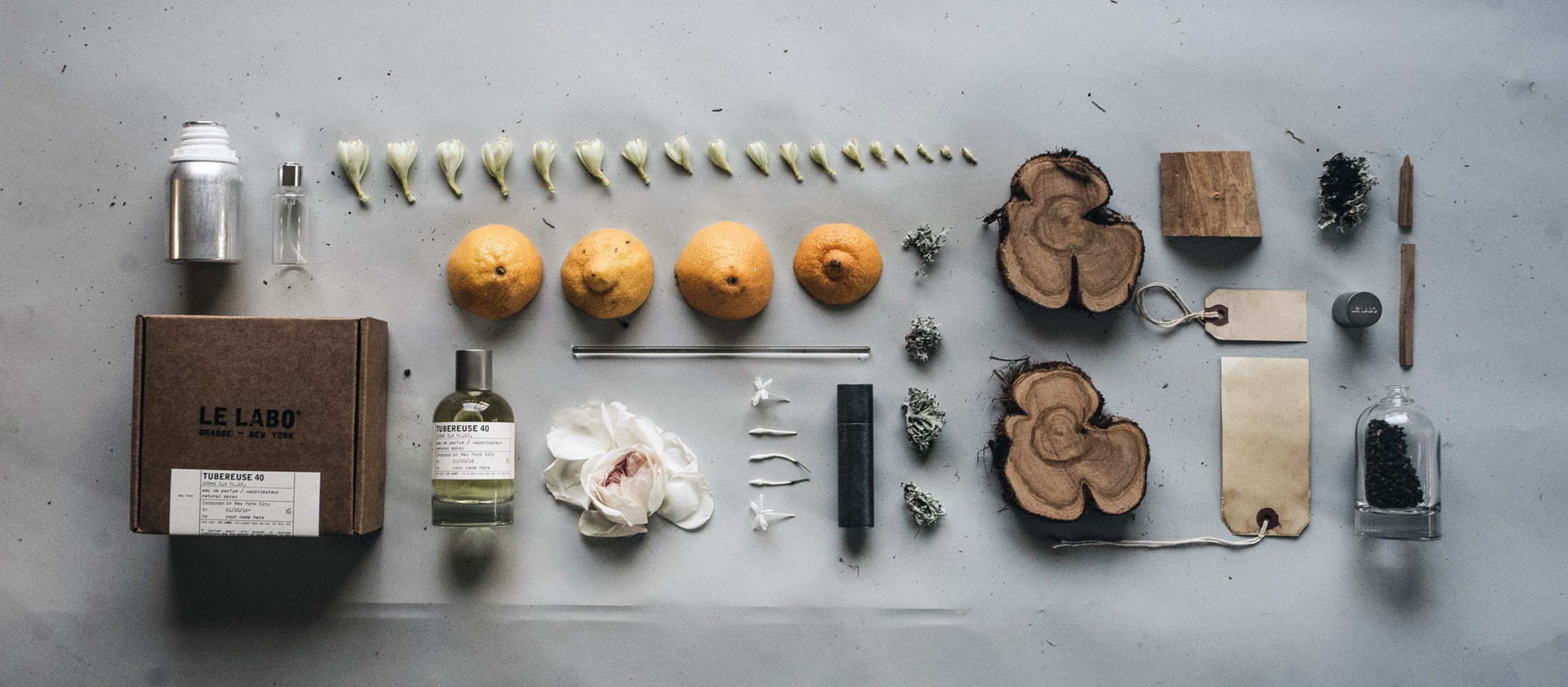 晚香玉 40（紐約）